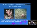 Marine Conservation and Biodiversity Challenges