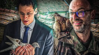 Les derniers PIGEONS de COMBAT de France !