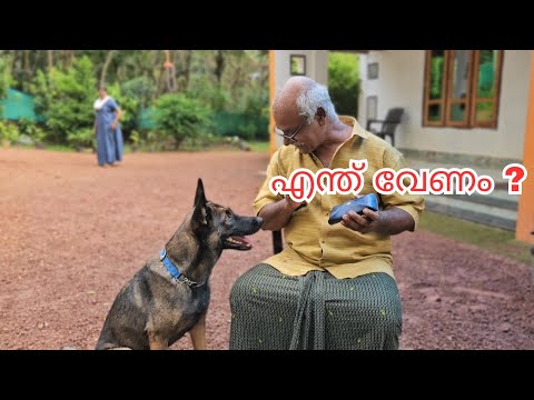 ലെയ്ക്കകുട്ടി എങ്ങനെയാണ് പോക്കറ്റടി പഠിച്ചതെന്ന് കണ്ടാലോ 😂🙏|LeoLaika|Chottuz