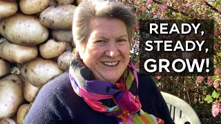 Planting Potatoes for a No Dig Harvest | No Till Potatoes