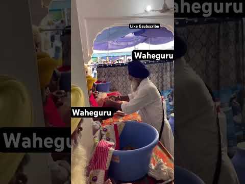 Baba Buddha Ji #shortvideos #viralvideos #shorts #gurbani #sikh #gurudwara