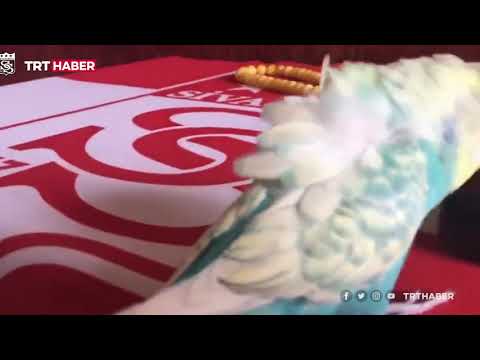 Fanatik muhabbet kuşu ‘Bulut’ tezahüratlarıyla ilgi çekiyor