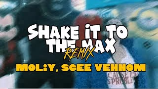 Sgee Vehnom &Moliy -Shake It To The Max Remix [Official Visualizer]