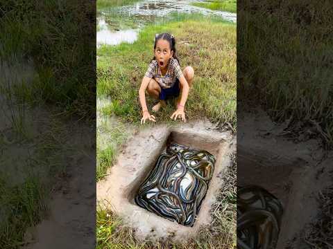 Survival Skills: SIMPLE and USEFUL with Eel trapping tool #survival #bushcraft #camping #shorts