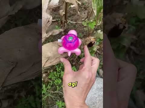 ظننت أنها حلوى… لكنها كانت سلحفاة حقيقية! 🐢🍬😱