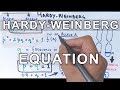 Hardy-Weinberg Equilibrium Concepts