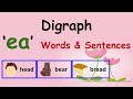 Identifying Short and Long 'E' Sounds