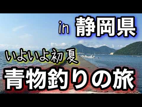 【青物襲来】初夏の堤防で青物勝負!狙うは青物&地元グルメ!一泊二日の釣り旅2025.7