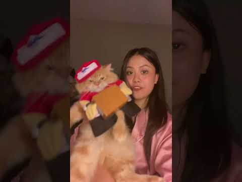 Keberatan paket miki #kucinganggoralucudanimut #cat #shortvideo