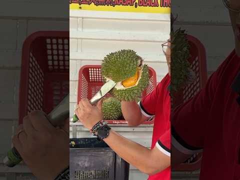 Must Eat! Unboxing Durian BlackThorn - Fruit Cutting Skills