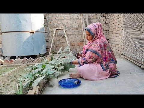 aaj main bahut khush hun per kyon|village routine work|village  routine life