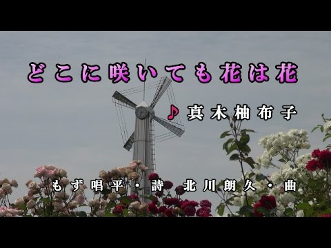 2016年5月18日発売【どこに咲いても花は花】真木柚布子♪カラオケ