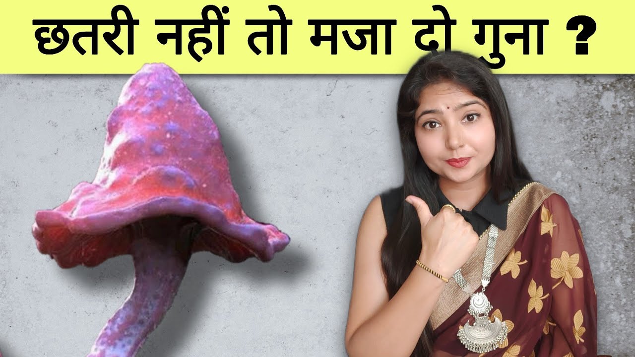 छतरी नहीं तो मजा दो गुना ? @studywithmeekta | 09.06.2025

human #psychology #humanbehaviour vlog channel https://youtube.com/@swmektavlogs EKTA UNIQUE ...