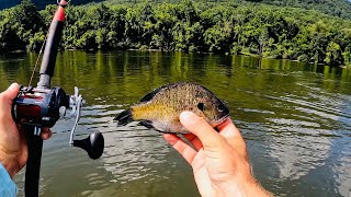 This Spot was LOADED with RIVER MONSTERS!!!
