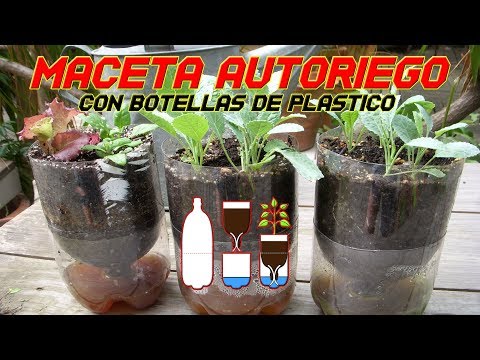 Maceta Autorriego  | Riego Automático | Reciclar botella de Plástico (PET) | Cultivo Paso a Paso