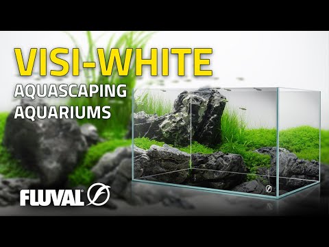 CLARITY WITHOUT COMPROMISE | Fluval Visi-White Aquascaping Aquariums