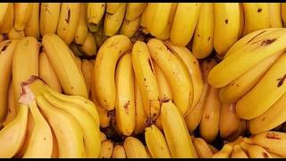 Nutricionista explica los mitos y verdades que rodean al plátano