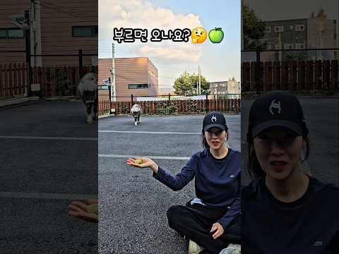 부르면 와요?🤔🦄Call Wally, try it🍏💚