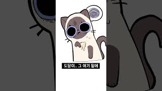 깔끔한 고양이가 삐지는 이유 #강지 #감자툰 #고양이