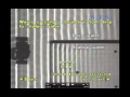 Wave Speed and Medium Characteristics