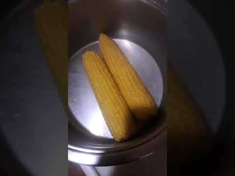 Sibel Baysal melisa geze pirzola ziyafet kaynamış darı