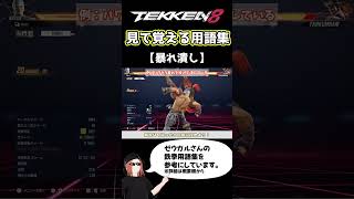 【鉄拳8】見て覚える用語集【暴れ潰し】