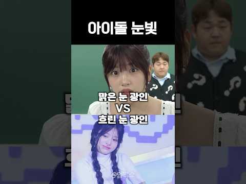 아이돌 대표 맑은눈vs흐린눈 광인