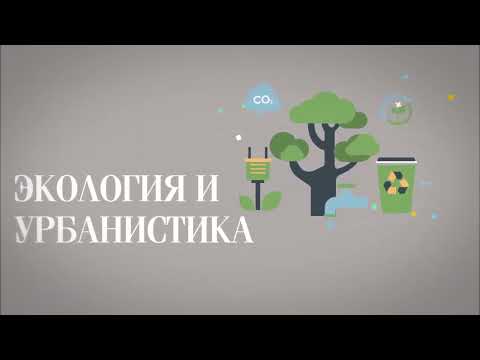 Одна из самых уникальных программ бакалавриата в АУЦА – «Свободные искусства и науки»