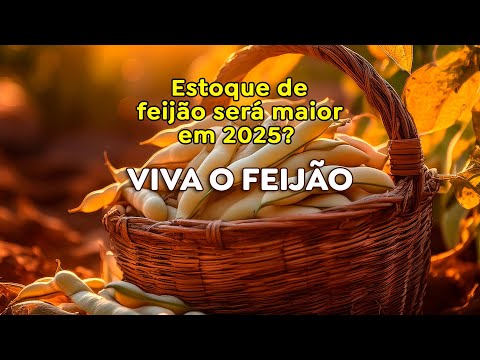 Estoque de feijão será maior em 2025?