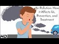Air Pollution: Effects, Prevention, and Treatment