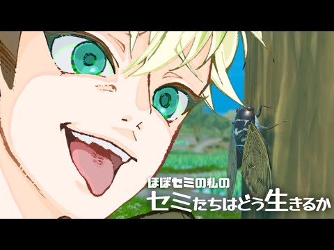 thumbnail_6IKrejEH5m0