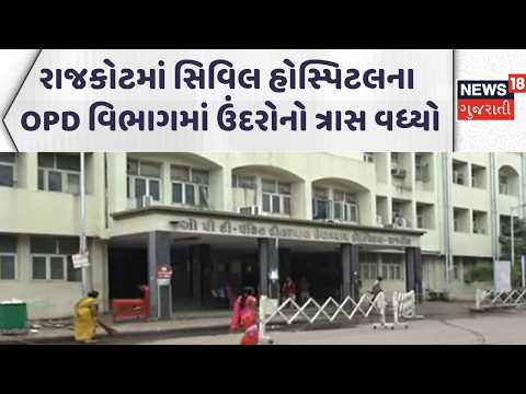 Rajkot Civil Hospital  | રાજકોટમાં સિવિલ હોસ્પિટલના OPD વિભાગમાં ઉંદરોનો ત્રાસ વધ્યો | Gujarati News