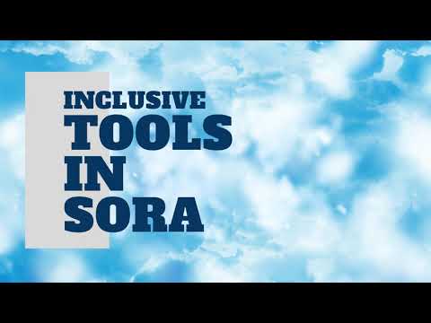 Inclusive Tools in Sora