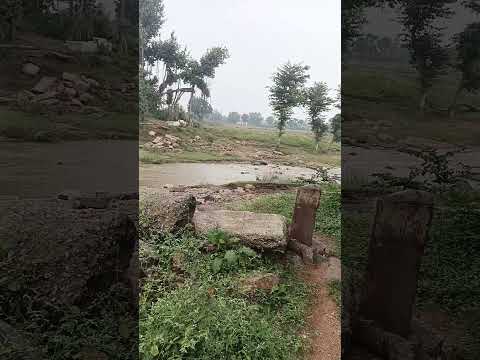 हर हर महादेव 🙏🙏🚩🌹💐🌷🪷🌻🚩sort..#video..#viral