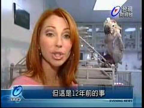 The most ugly parrot in the world 世界最醜鸚鵡