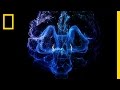 Understanding Brain Stimulation and Consciousness