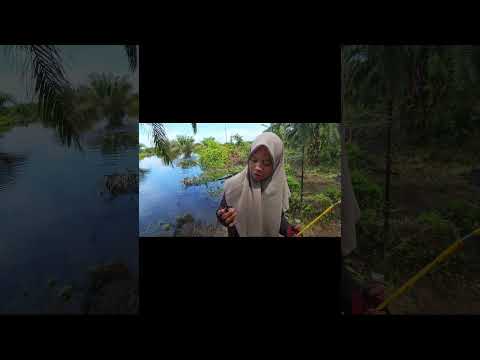 Sebentar aja langsung strikee#fishing #viralvideo #viralshorts #viralshort