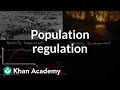 Exploring Population Regulation Factors