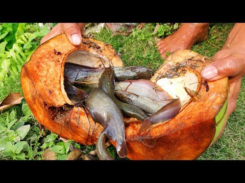 Fish Trap | Boy Catching Catfish Using Green Coconut | Traditional Fishing