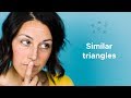 Understanding Similar Triangles