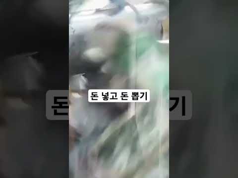 뽑은만큼 가져가는 돈 뽑기 (구독하면 진짜 부자됨♡)