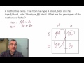 Exploring Patterns of Inheritance in Genetics