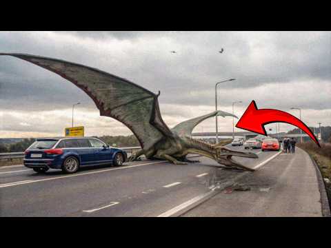 Unbelievable Footage Of Impossible Creatures Caught On Camera!