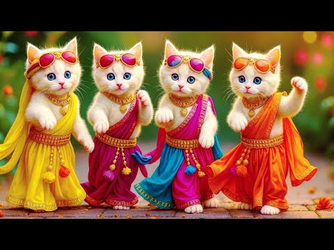 बिल्ली  डांस,💃| Cutest Cat videos funny dance 🤣 💃 Videos for cats #funny #dancingcat #cat #kitten