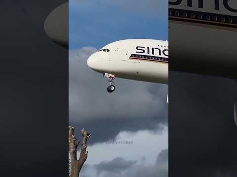 This Is the Largest Passenger Plane on the Planet (Airbus A380)