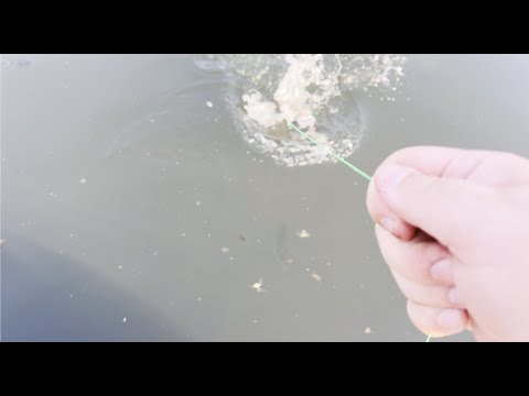 BATTLBOX Gear Testing : Fishing With The "SPEED HOOK"