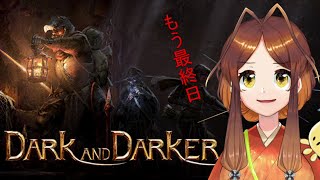【Dark and Darker】無職の魔法使い　最後の戦い【姫蟻エイル/Vtuber】