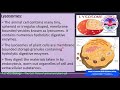 Cell Structure and Function Concepts