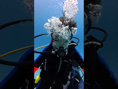 Вчера состоялось  первое погружение Макса  с аквалангом на глубину 12,5 метров 🤿 #iriss_levchenko