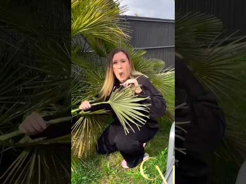 Si t’arrives à trouver les trompe-l’œil t’es un BOSS 😂